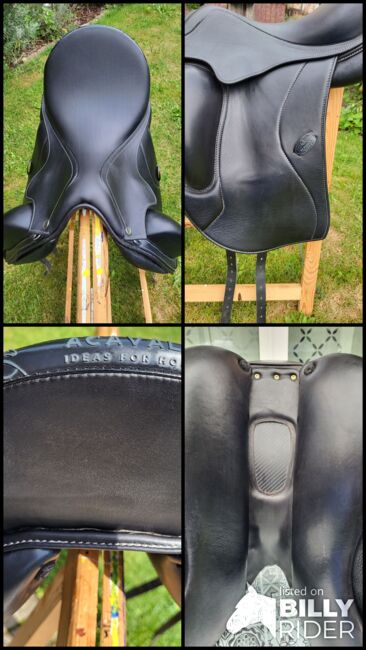 Acavallo Perugino, Acavallo  Perugino, Anja, Dressage Saddle, Dortmund , Image 12