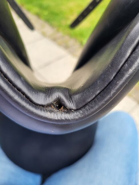 Acavallo Perugino, Acavallo  Perugino, Anja, Dressage Saddle, Dortmund , Image 6