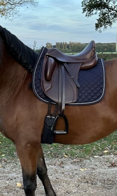 Acavallo Sattel Leonardo Dressursattel 17 Zoll braun, Acavallo  Leonardo, Carina Bolus, Dressage Saddle, Everswinkel, Image 11