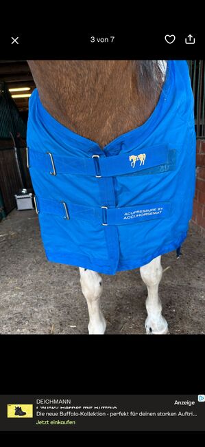 accuhorsemat Decke,  accuhorsemat , Tamara , Horse Blankets, Sheets & Coolers, Borken, Image 4