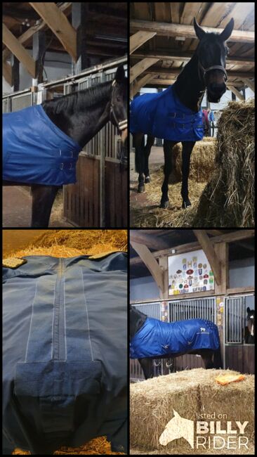 Accuhorsemat Original Gr. L, Accuhorsemat, Sabine, Horse Blankets, Sheets & Coolers, Lastrup, Image 5