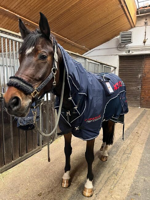 ACTIVOMED Magnetfelddecke IMPULSELINE Professional 2.0 Combi-Set, Activomet Impulseline professional 2.0 Set, Thomas, Horse Blankets, Sheets & Coolers, Lappersdorf