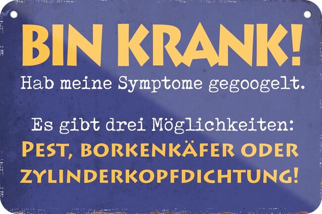 Aegidienberger Wallach, Schoierer, Pferd kaufen, Walsdorf, Abbildung 9