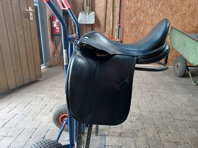 Achat Sattel, Euroriding , Steffi , All Purpose Saddle, Haselünne 