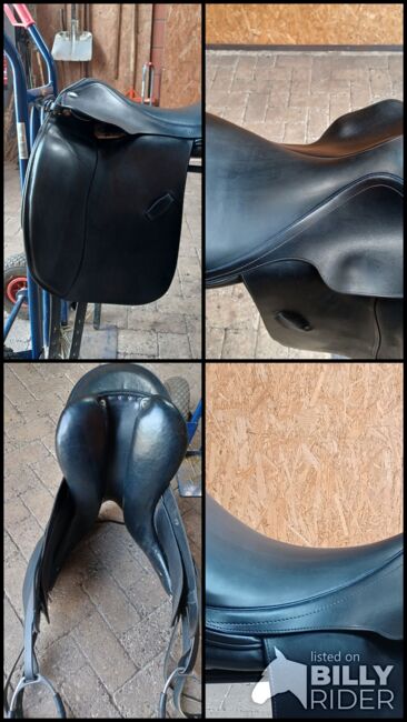 Achat Sattel, Euroriding , Steffi , All Purpose Saddle, Haselünne , Image 12