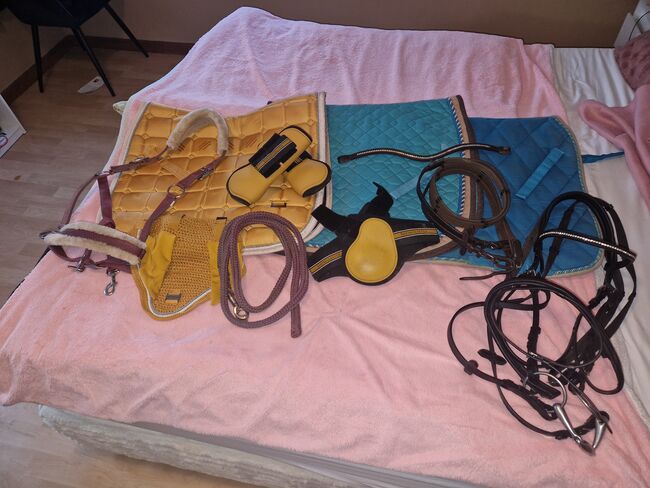 Zubehör fürs Pferd FELIX BÜHLER, SHOWMASTER sowie 4HORSE, Felix Bühler, Showmaster,  4 Horse , Michelle , Czapraki, Herborn