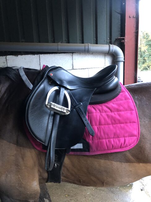 Albion 17.5” GP Saddle, Albion, Sarah McCrory, All Purpose Saddle, London