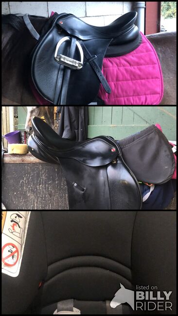 Albion 17.5” GP Saddle, Albion, Sarah McCrory, All Purpose Saddle, London, Image 4
