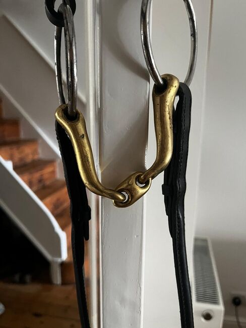 Albion Bridle, Albion, Ryan , Bridles & Headstalls, Calne, Image 3