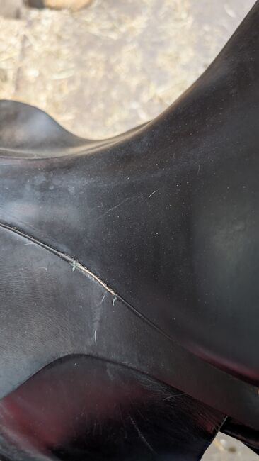 Dressursattel Albion, Dressursattel Albion, N.L., Dressage Saddle, Schenefeld, Image 9