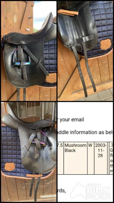 Albion Dressursattel, Albion SLK, Nicole giesler, Dressage Saddle, Bitz, Image 6