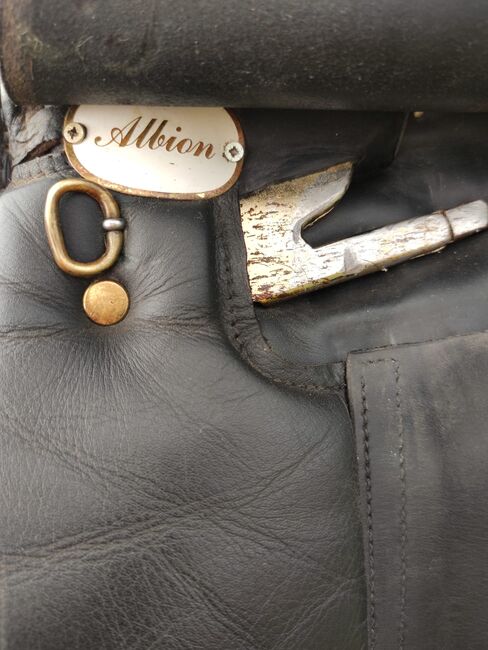 Albion Dressursattel, Albion  Style , Gabriele Neuwirth , Dressage Saddle, Klein-Ulrichschlag, Image 3