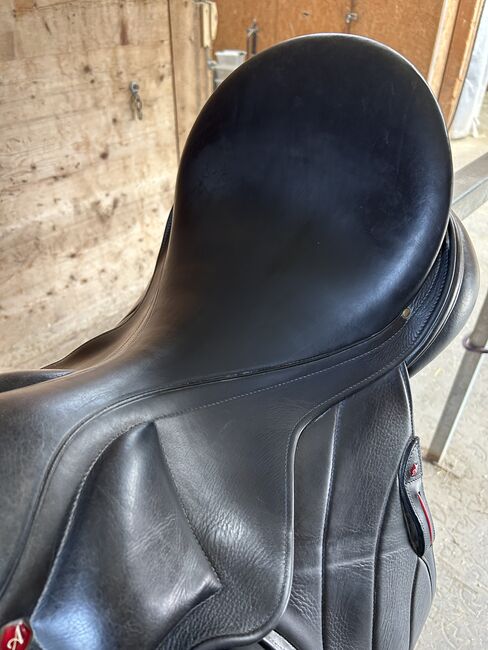 Albion Dressursattel Revelation Red Label, MW, 17.5 Zoll, Albion Revelation Red Label, Nicole , Dressage Saddle, Wien, Währing, Image 8