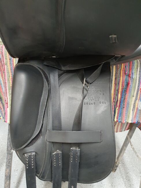 Dressursattel Albion, Albion SLK, Maria, Dressage Saddle, Fehring, Image 8