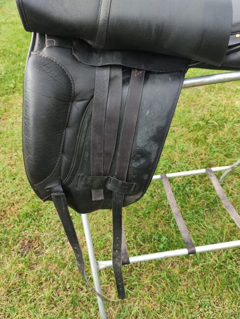 Albion Dressursattel, Albion  Style , Gabriele Neuwirth , Dressage Saddle, Klein-Ulrichschlag, Image 4