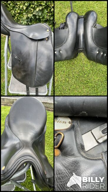 Dressursattel Albion, Albion SLK, Elke Grevers, Dressage Saddle, Kevelaer , Image 8