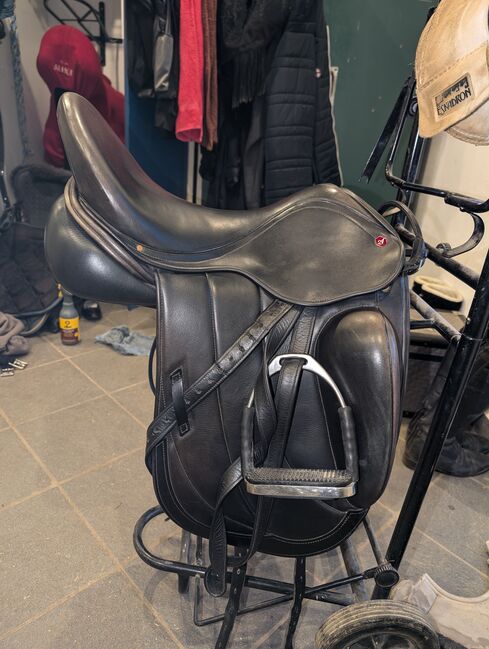 Albion Fabrento Dressur 17  Zill Kammer M, Albion  Fabrento , Christina, Dressage Saddle, Langenzenn