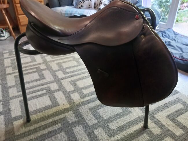 Albion K2 GP, Albion  Legend , Katharine Midgley, Other Saddle, Waterlooville, Image 5