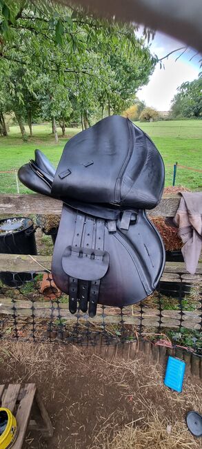 Albion Legend 17.5" MW GP saddle, Albion Legend, Sam, All Purpose Saddle, Stevenage, Image 5