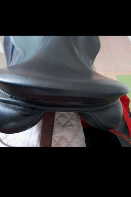 Albion Legend VS 17,5", Albion Legend, Gerti, All Purpose Saddle, Perg, Image 9