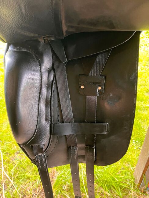 Albion Platinum Dressursattel, Albion Platinum, Franciska Heinze, Dressage Saddle, Cuxhaven, Image 12