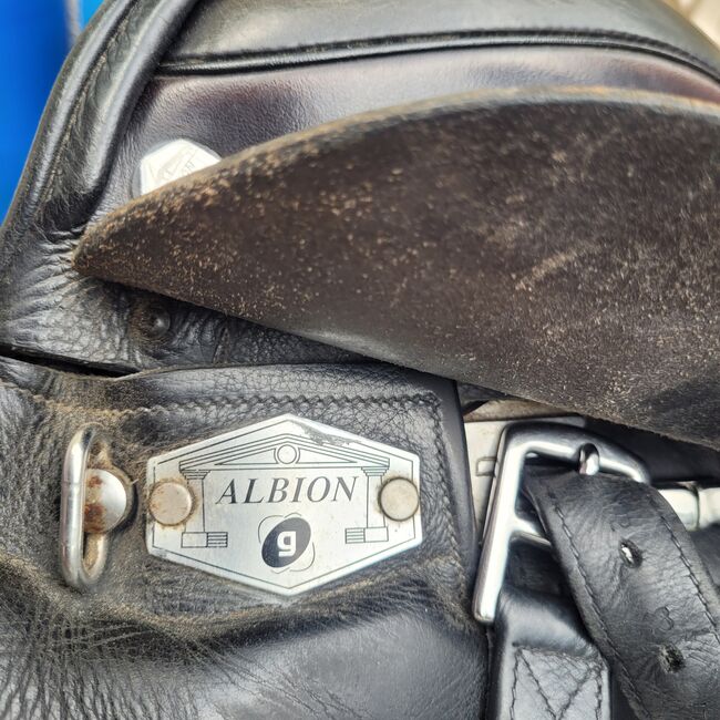 Albion Platinum Europa Dressursattel 17,5 Zoll, Albion Platinum Europa, Sylvi, Dressage Saddle, Stuttgart Obertürkheim, Image 13