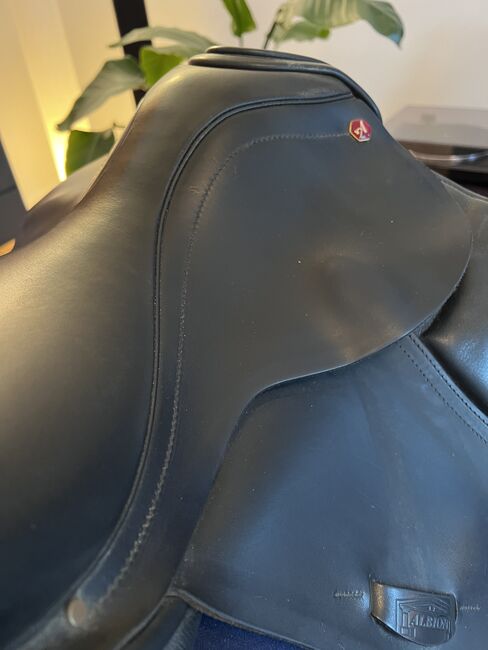 Albion Sattel SLK 16,5“, Albion , Valentina , Dressage Saddle, Düsseldorf , Image 8