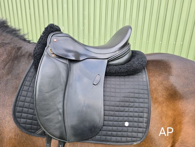 Albion SLK Dressursattel 18 Zoll HH, Albion SLK Europa Adjusta, Sabine, Dressage Saddle, Westerrönfeld, Image 5