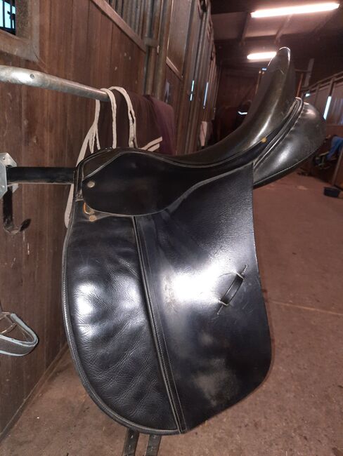 Albion SLK, Albion SLK , Anna-Katharina Terppé , Dressage Saddle, Travenbrück