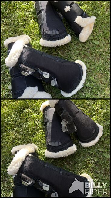 Dressurgamaschen ALL BLACK 🖤, Felix Bühler Save the Sheep, Tici 🤎, Tendon Boots, München, Image 3