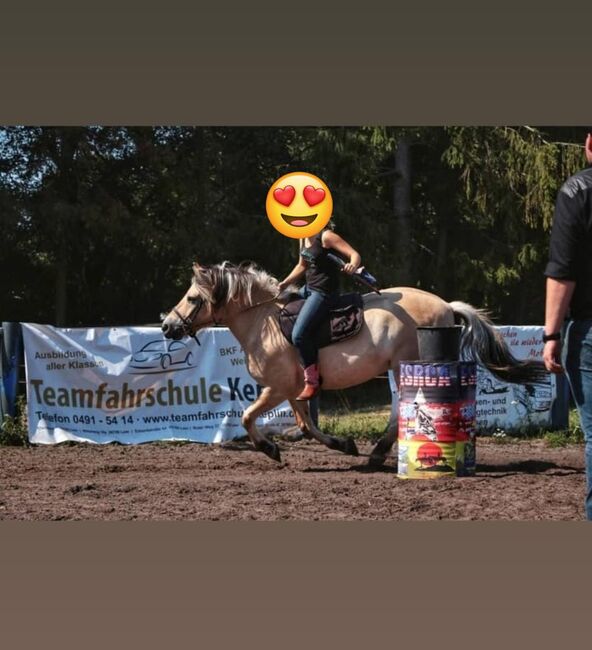 Allround Familienpferd sucht Bestplatz, Familie, Pferd kaufen, Rahden