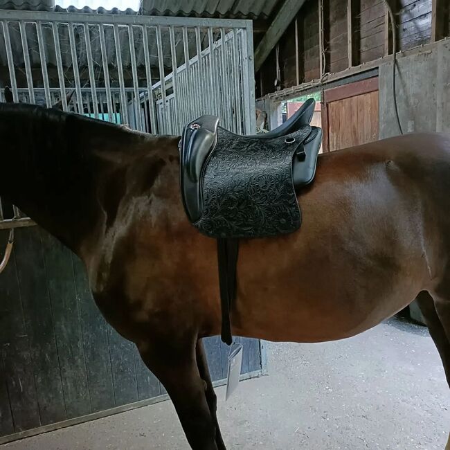 Alpha vaquero Iberosattel, Iberosattel  Alpha vaquero , Brenda Nessen, Other Saddle, Dieren, Image 5