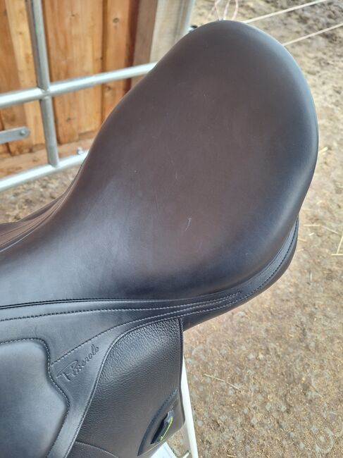 Wie neu! Amerigo Cortina Pinerolo 17,5 Dressursattel, Amerigo Classic Pinerolo, Carina, Dressage Saddle, Edemissen, Image 11