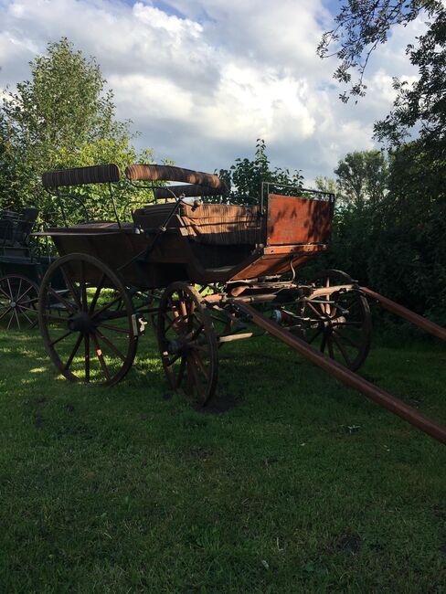 Alte Wagonette Baujahr 1914, Wagonette , Jennifer, Kutschen, Nauen/ OT Groß Behnitz , Abbildung 3