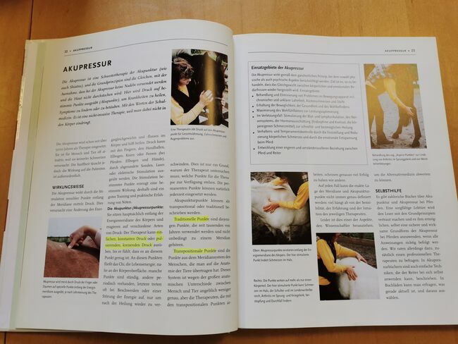 Alternative Heilmethoden für Pferd und Reiter, kosmos  Susan McBane 344009300X , Mandy, Books, Camburg, Image 4