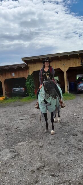 American Quarter Horse, Maria Halser, Konie na sprzedaż, Saldenburg, Image 4