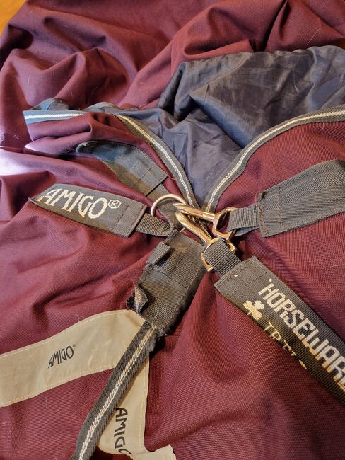 Amerigo 155cm, Amerigo , Nina Eigenmann, Horse Blankets, Sheets & Coolers, Schweizersholz