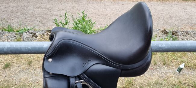 Amerigo Cervia, Amerigo Cervia, Alexandra, Dressage Saddle, Etzelkofen, Image 3