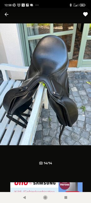 Amerigo Cervia Siena Pinerolo, Amerigo  Cervia Siena pinerolo , Anja , Dressage Saddle, Offenburg, Image 2