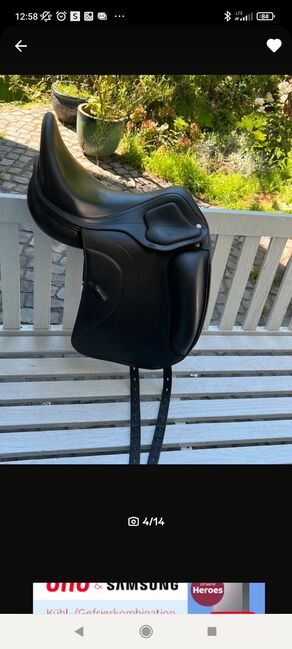 Amerigo Cervia Siena Pinerolo, Amerigo  Cervia Siena pinerolo , Anja , Dressage Saddle, Offenburg
