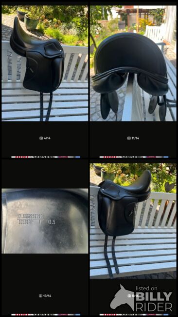 Amerigo Cervia Siena Pinerolo, Amerigo  Cervia Siena pinerolo , Anja , Dressage Saddle, Offenburg, Image 11