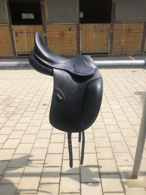 Amerigo Cortina Pinerolo, Amerigo Cortina , Carolin Gfrörer , Dressage Saddle, Balingen, Image 5