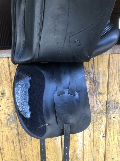 Amerigo Cortina Pinerolo, Amerigo Cortina , Carolin Gfrörer , Dressage Saddle, Balingen, Image 2