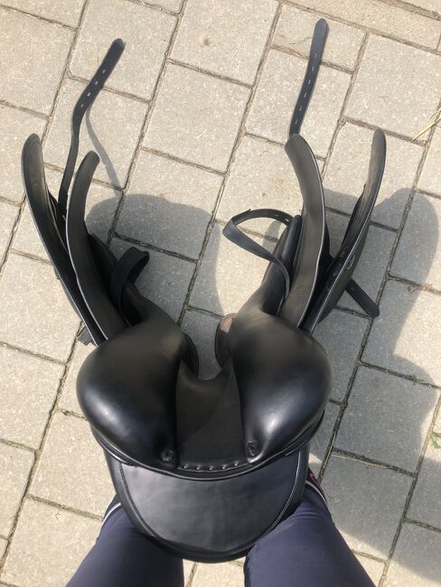Amerigo Cortina Pinerolo, Amerigo Cortina , Carolin Gfrörer , Dressage Saddle, Balingen, Image 3