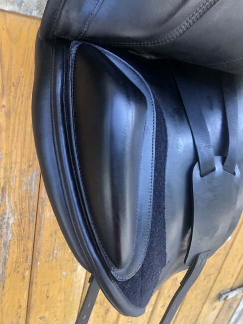 Amerigo Cortina Pinerolo, Amerigo Cortina , Carolin Gfrörer , Dressage Saddle, Balingen, Image 6