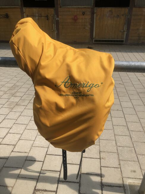 Amerigo Cortina Pinerolo, Amerigo Cortina , Carolin Gfrörer , Dressage Saddle, Balingen, Image 8