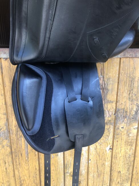 Amerigo Cortina Pinerolo, Amerigo Cortina , Carolin Gfrörer , Dressage Saddle, Balingen, Image 7