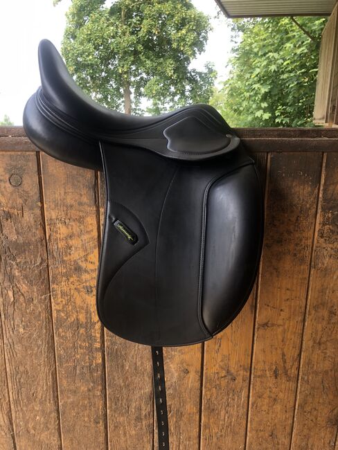 Amerigo Cortina Pinerolo, Amerigo Cortina , Carolin Gfrörer , Dressage Saddle, Balingen, Image 9