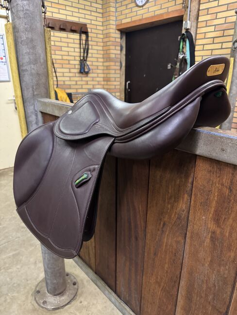 Amerigo DJ, 17,5 Inch Pinerolo, Amerigo DJ , Robin , Jumping Saddle, Hoogeveen, Image 5