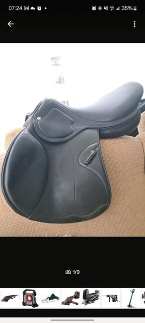 Amerigo DJ Largo 17,5 M Bj 20 NP 4800 Springsattel, Amerigo  Dj largo , Katharina , Springsattel, Geislingen, Abbildung 3